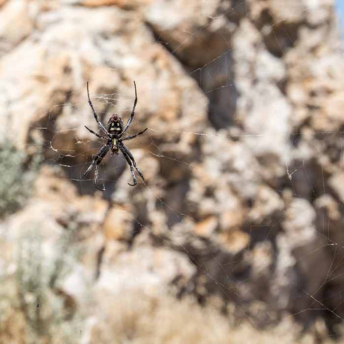 Near Lady Finger Point