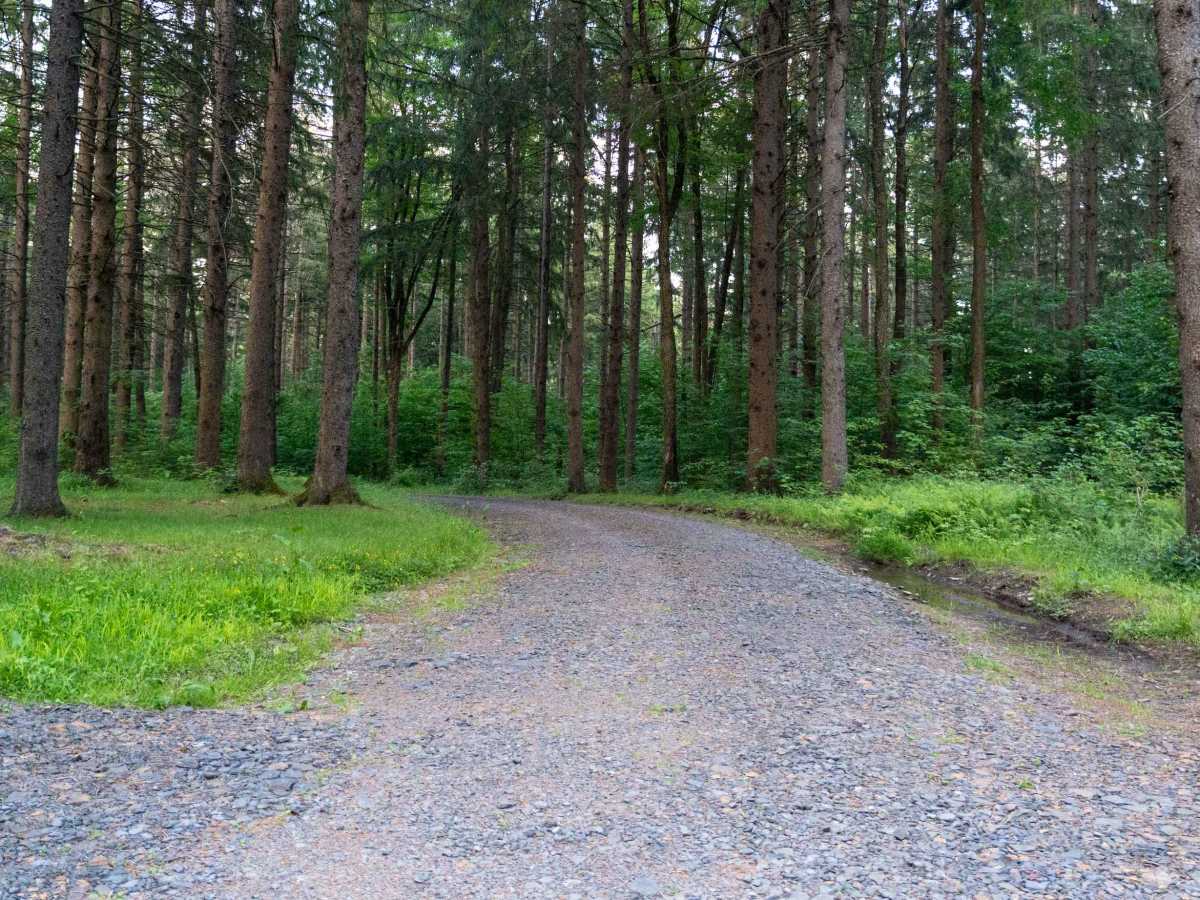 Truck Trail 14 photo 6