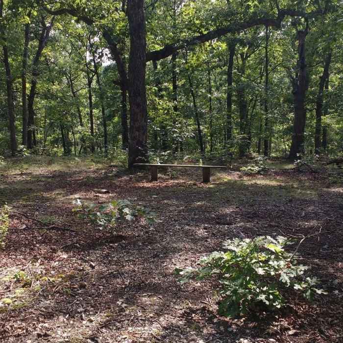 Near Moreau Creek Trail