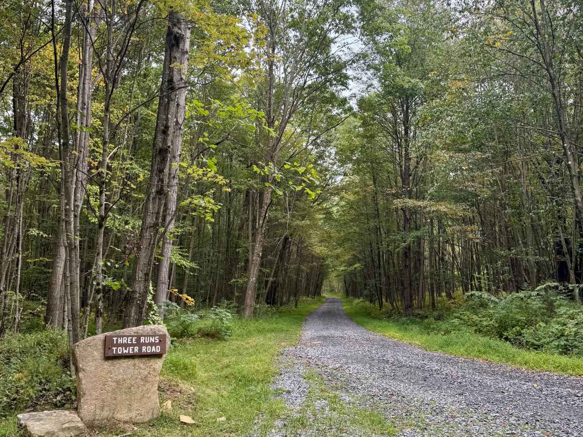 Three Runs Tower Road / Chestnut Draft Road photo 2