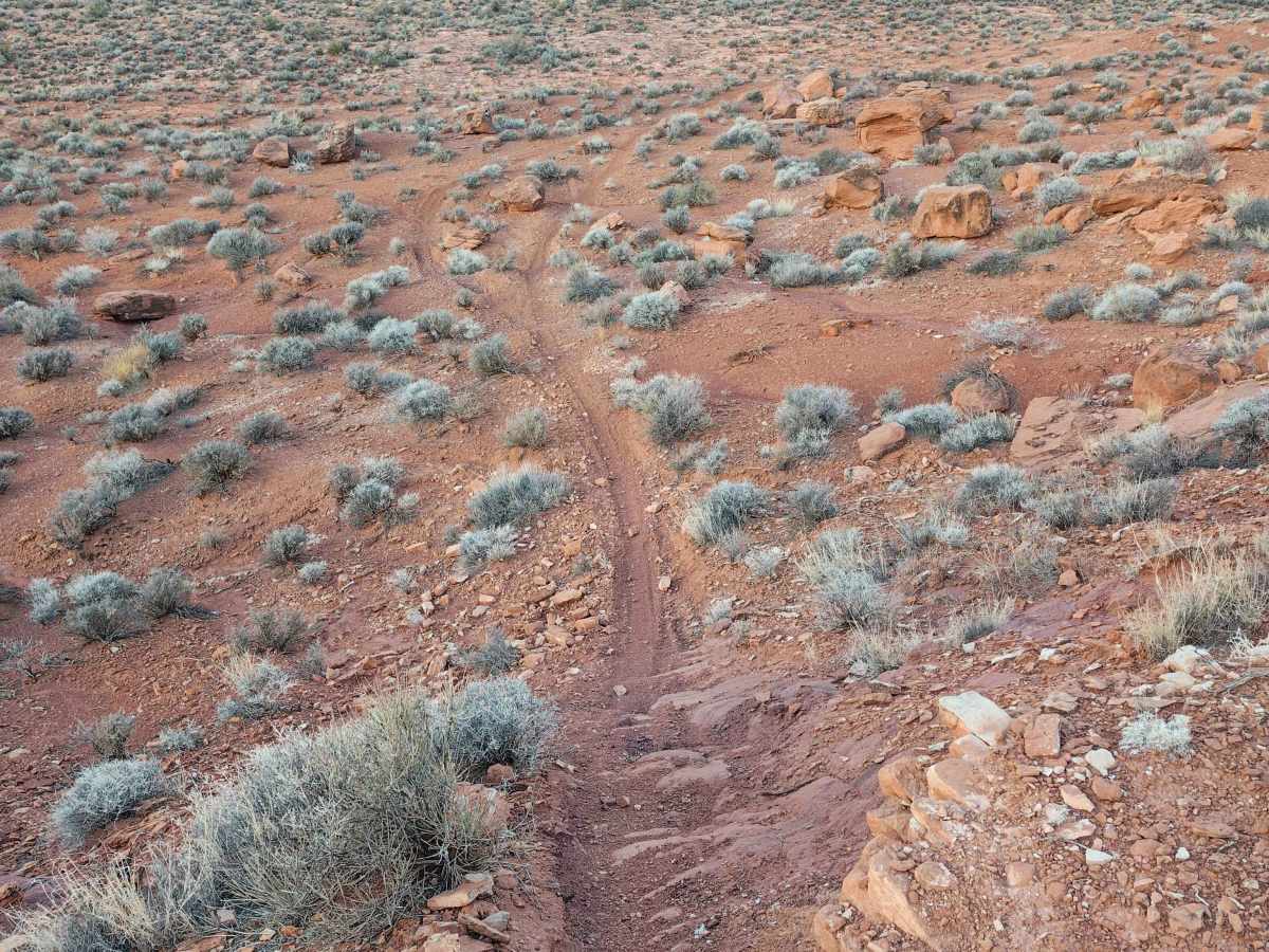 East Rim Little Red - Single Track photo 4