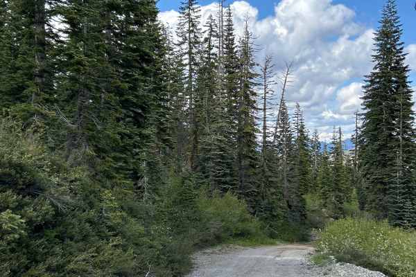 Soda Springs Road