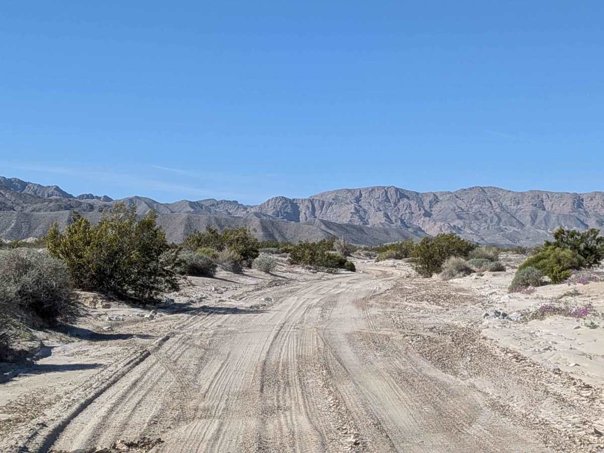 BLM 082 photo 3