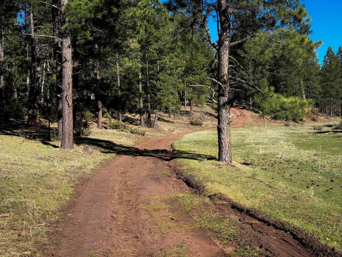 Windy Trail - 612  photo 2