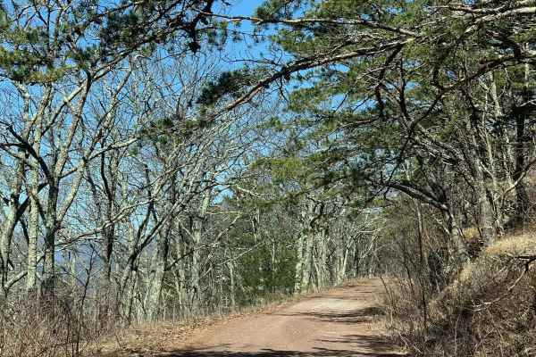 Reddish Knob