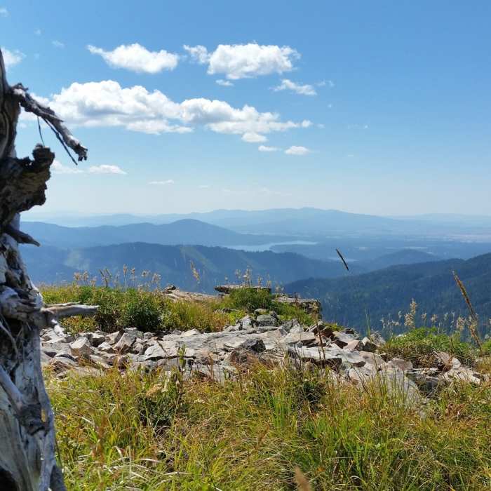 Near Chilco Mountain Trail #14