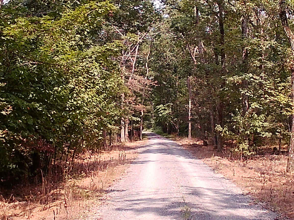 Thomas Dam Road photo 4