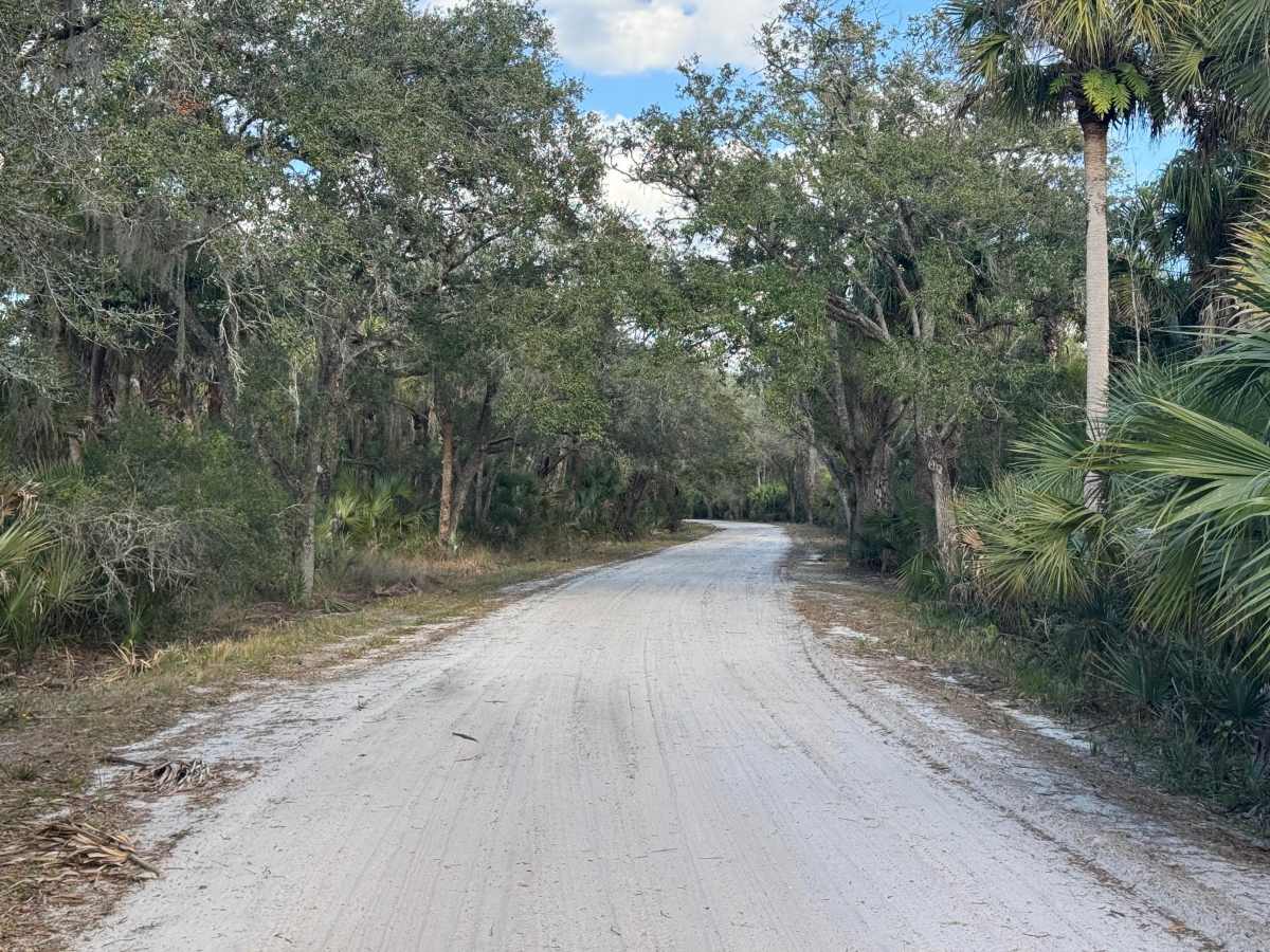 Long Bluff Road trail photo