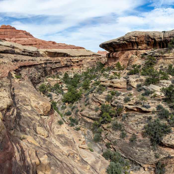 Near Lost Canyon Trail