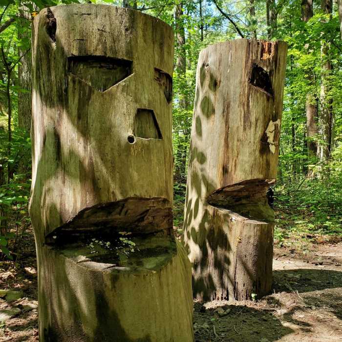 Near Sober's Run Loop Trail