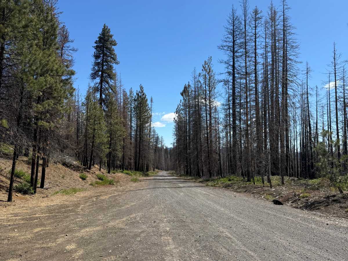 Siah Butte Road photo 2