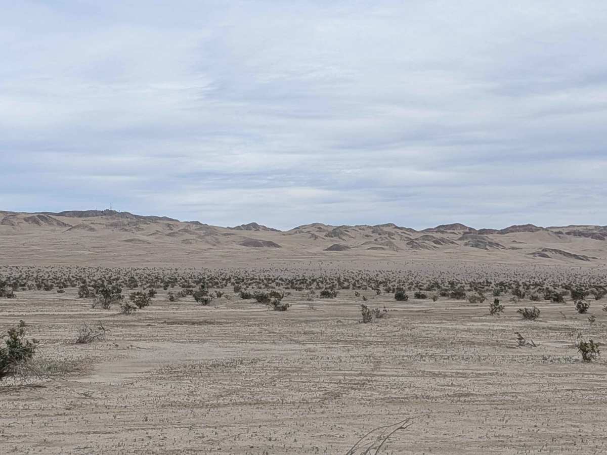 BLM 009 photo 5