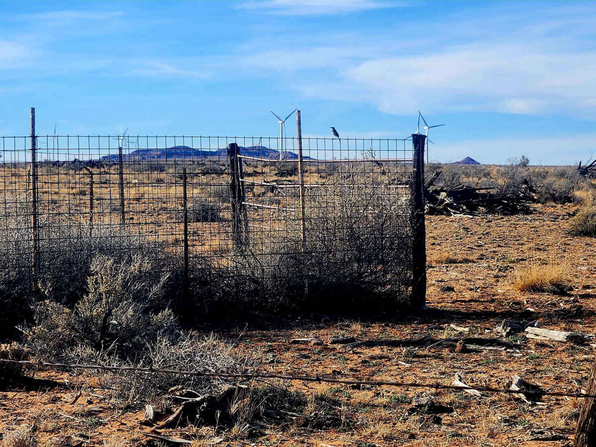 Way Out photo 3