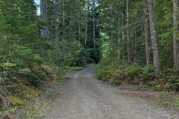 Lake Cushman View Trail