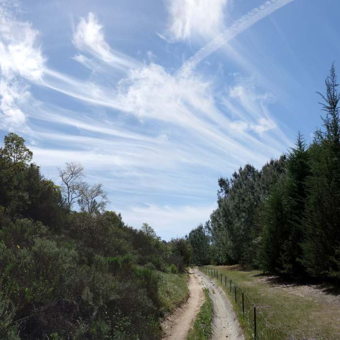 Near Palacio Del Mar Views Loop