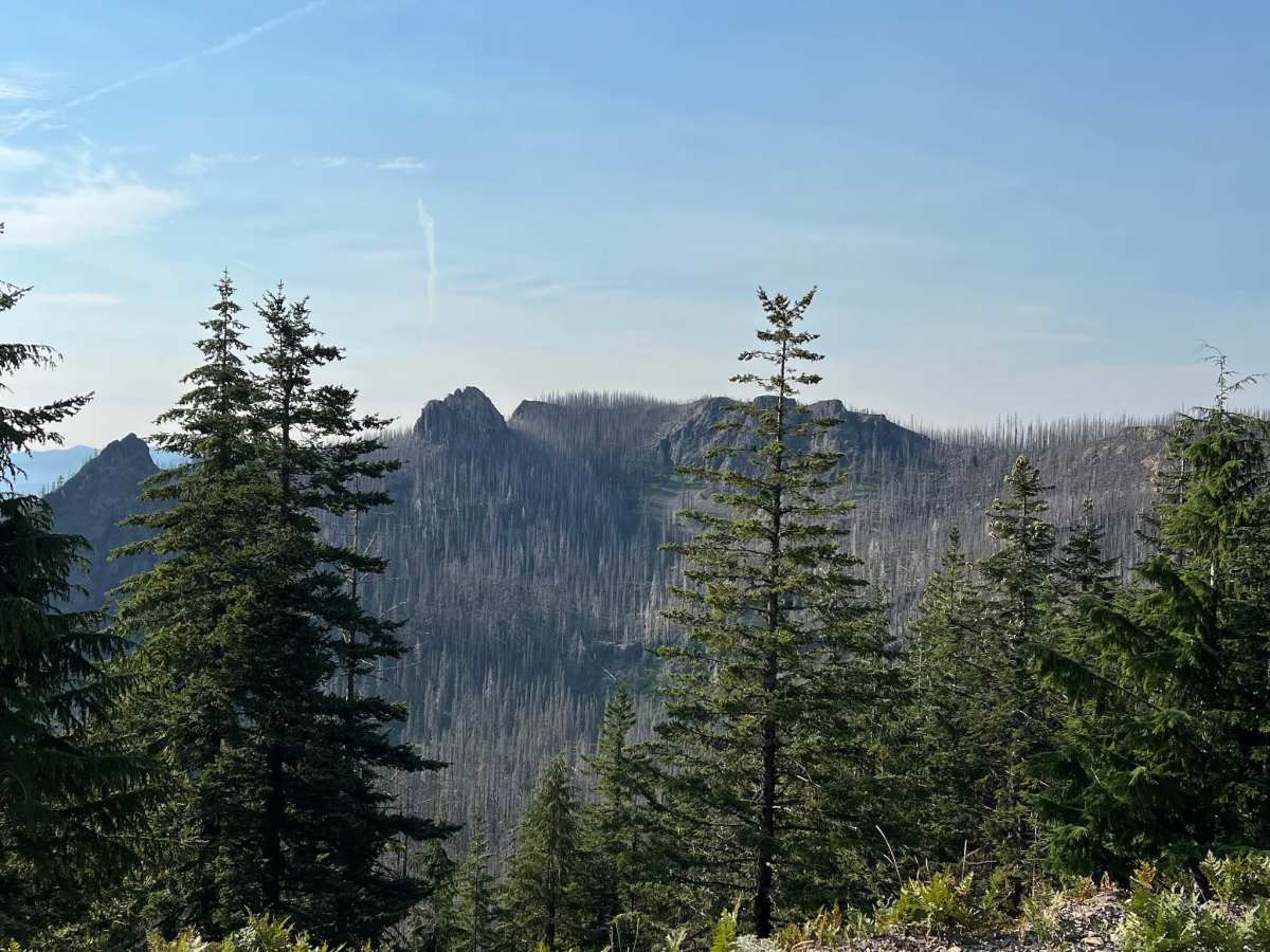 Hall Ridge photo 6
