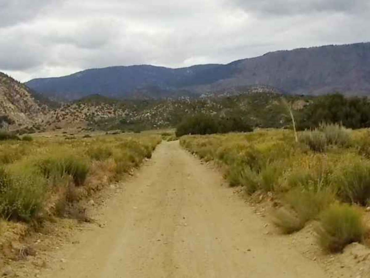 Jack Rabbit Trail photo 6