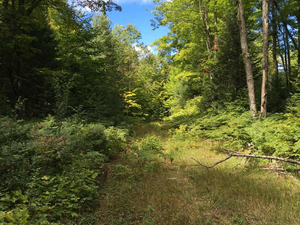 Spencer Trail photo 5