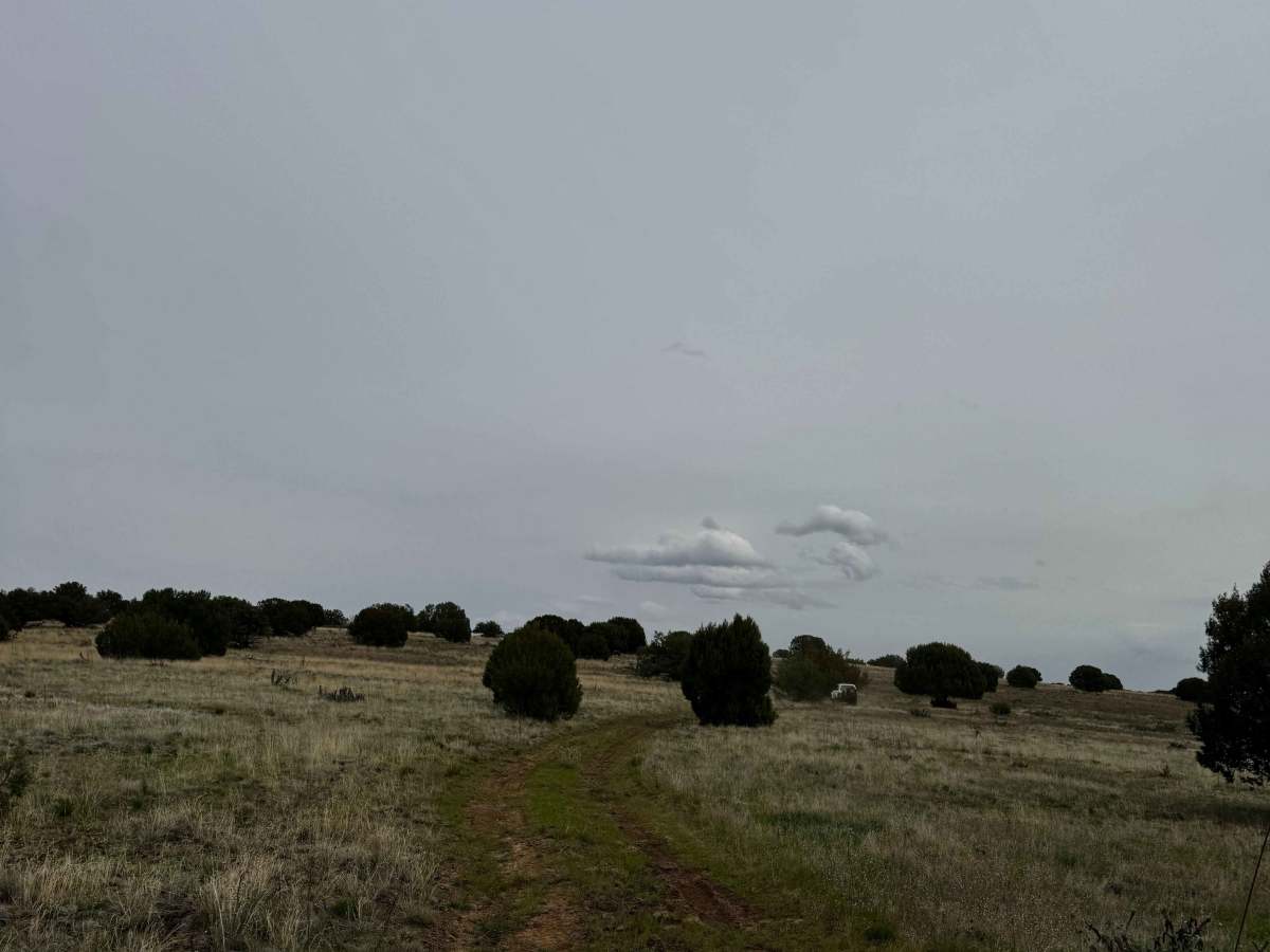 Ranch House Bypass photo 2
