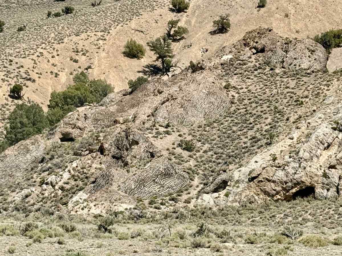 Martin Ranch FS43061 photo 2