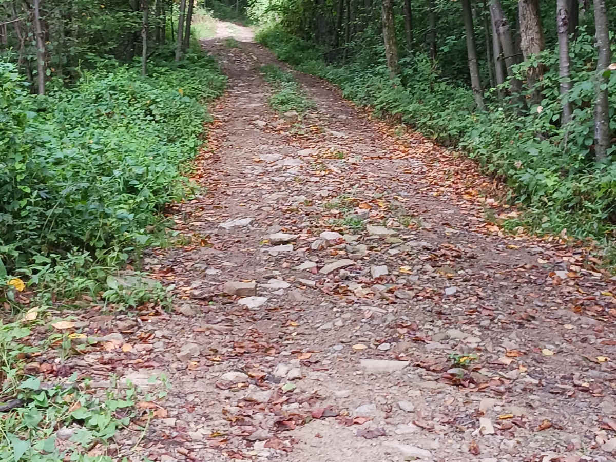 Rock Den Ridge Top Bypass - Rock Run Recreation Area photo 2