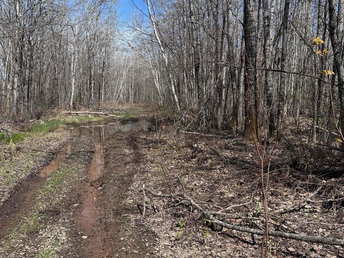 Hay Creek Trail photo 5