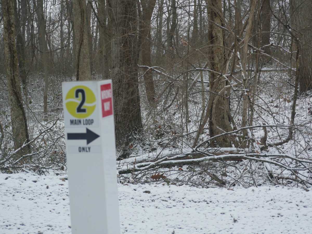 Trail 55 photo 5