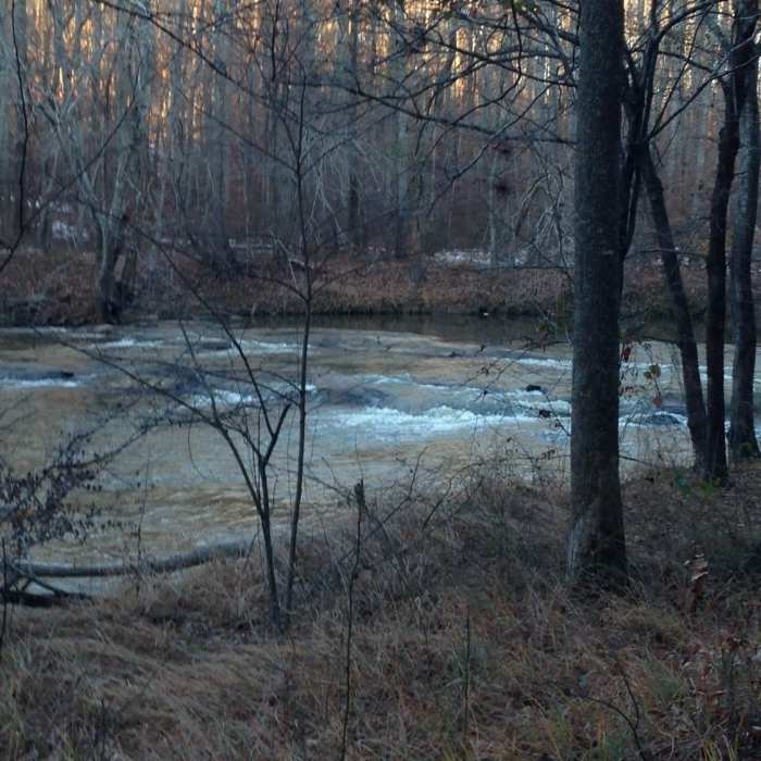Near The Blue Trail at Sweetwater Creek