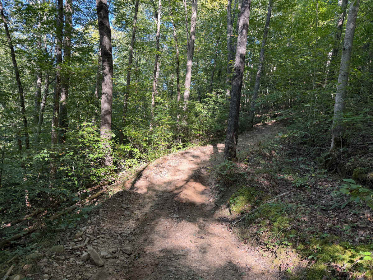 54 trail photo
