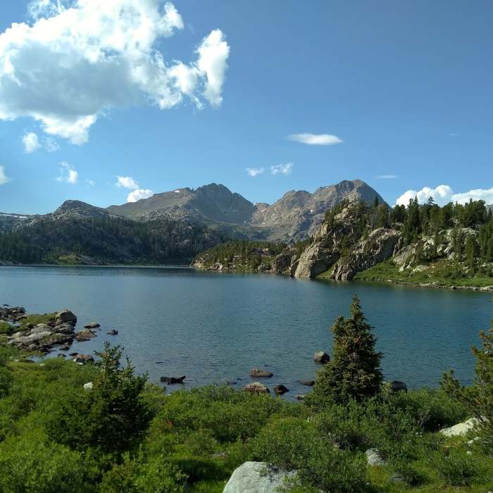 Near Cook Lake Loop Trail #7163