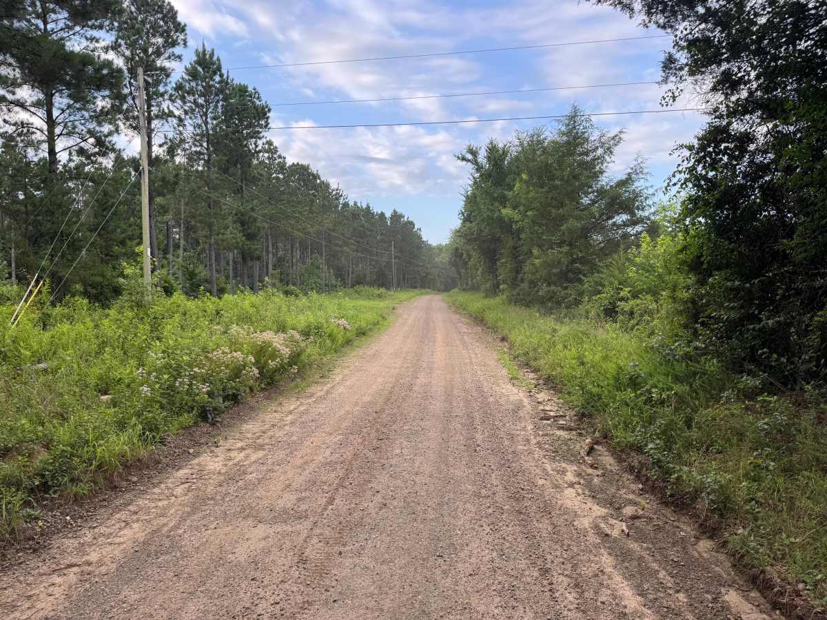 County Road 4451 trail photo