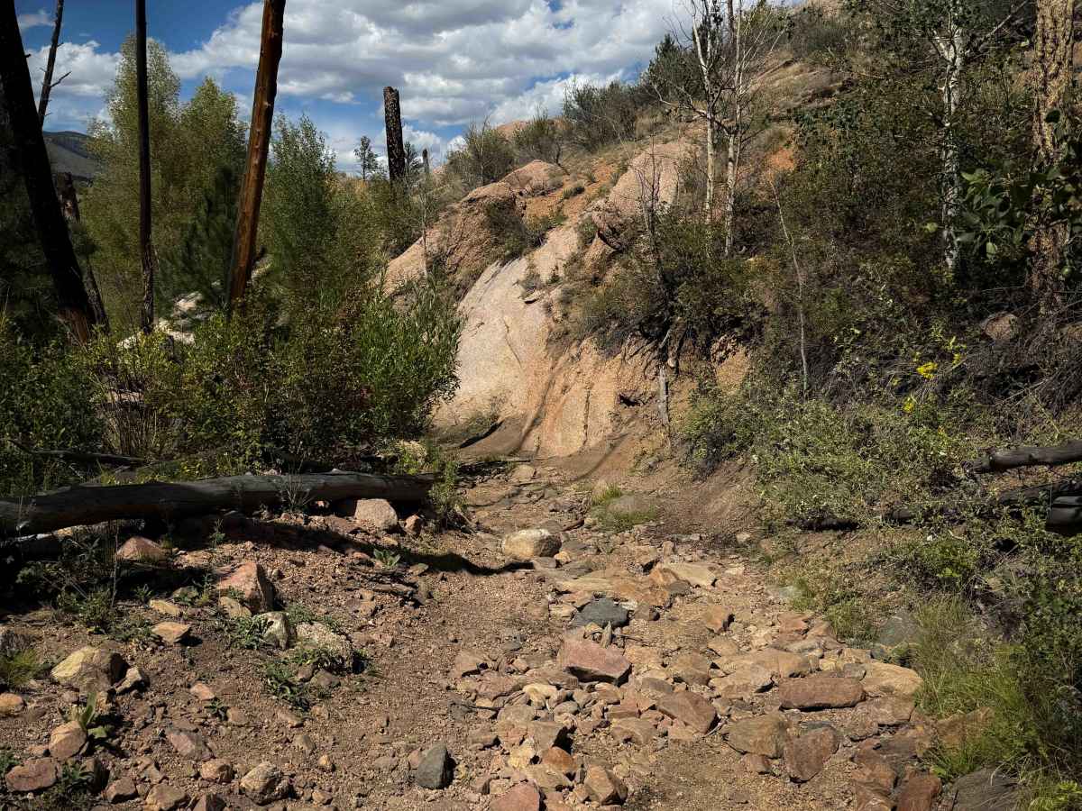 FS 736 trail photo