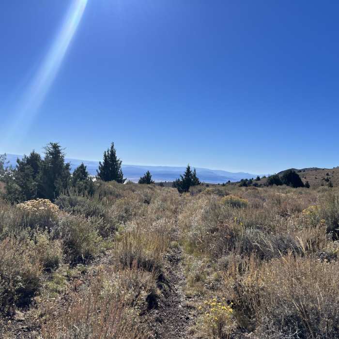 Near Indian Creek Road Near Indian Creek Road