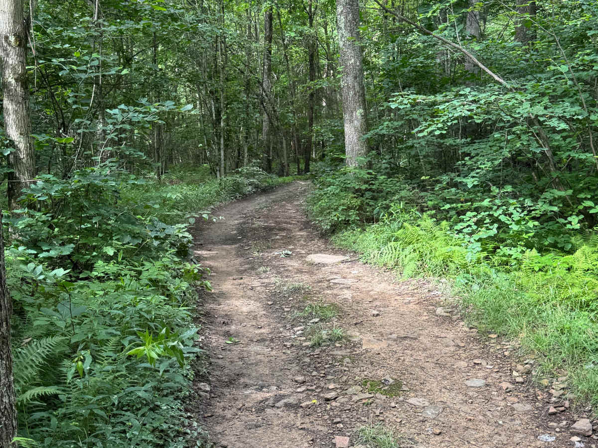 Trail 19 photo 2