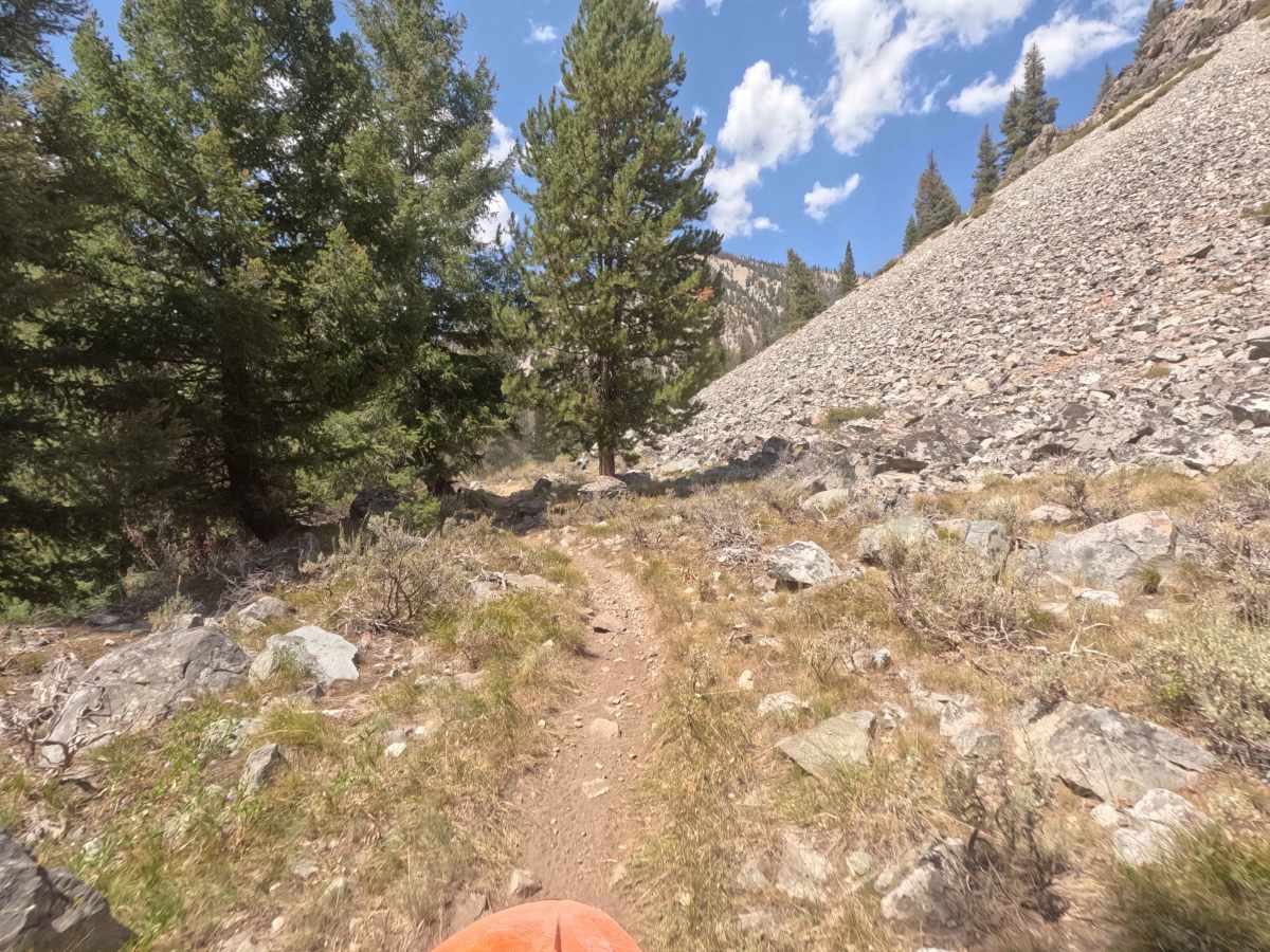West Fork Big Smoky Creek - FS 7224 photo 6