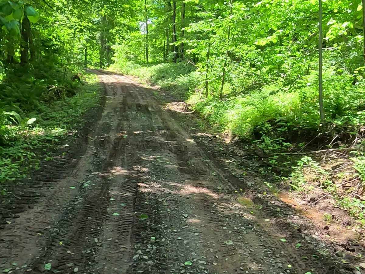 ORV LB Route - Baraga photo 4