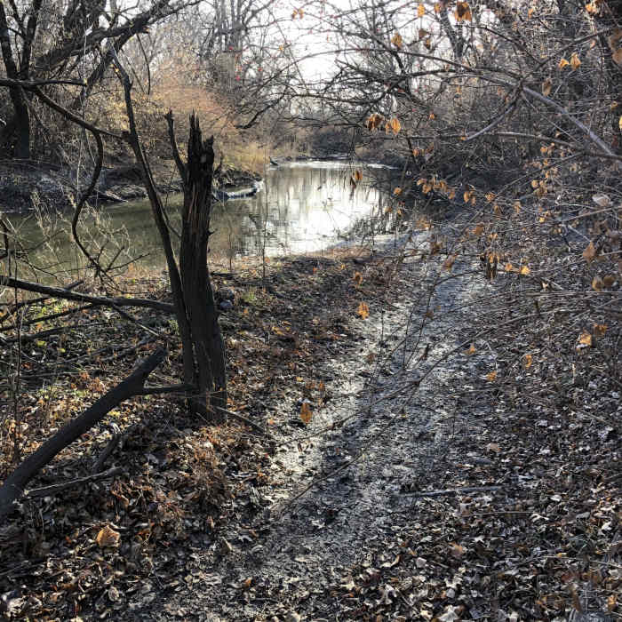 Near Chisolm Creek Park Natural Surface Trail 7