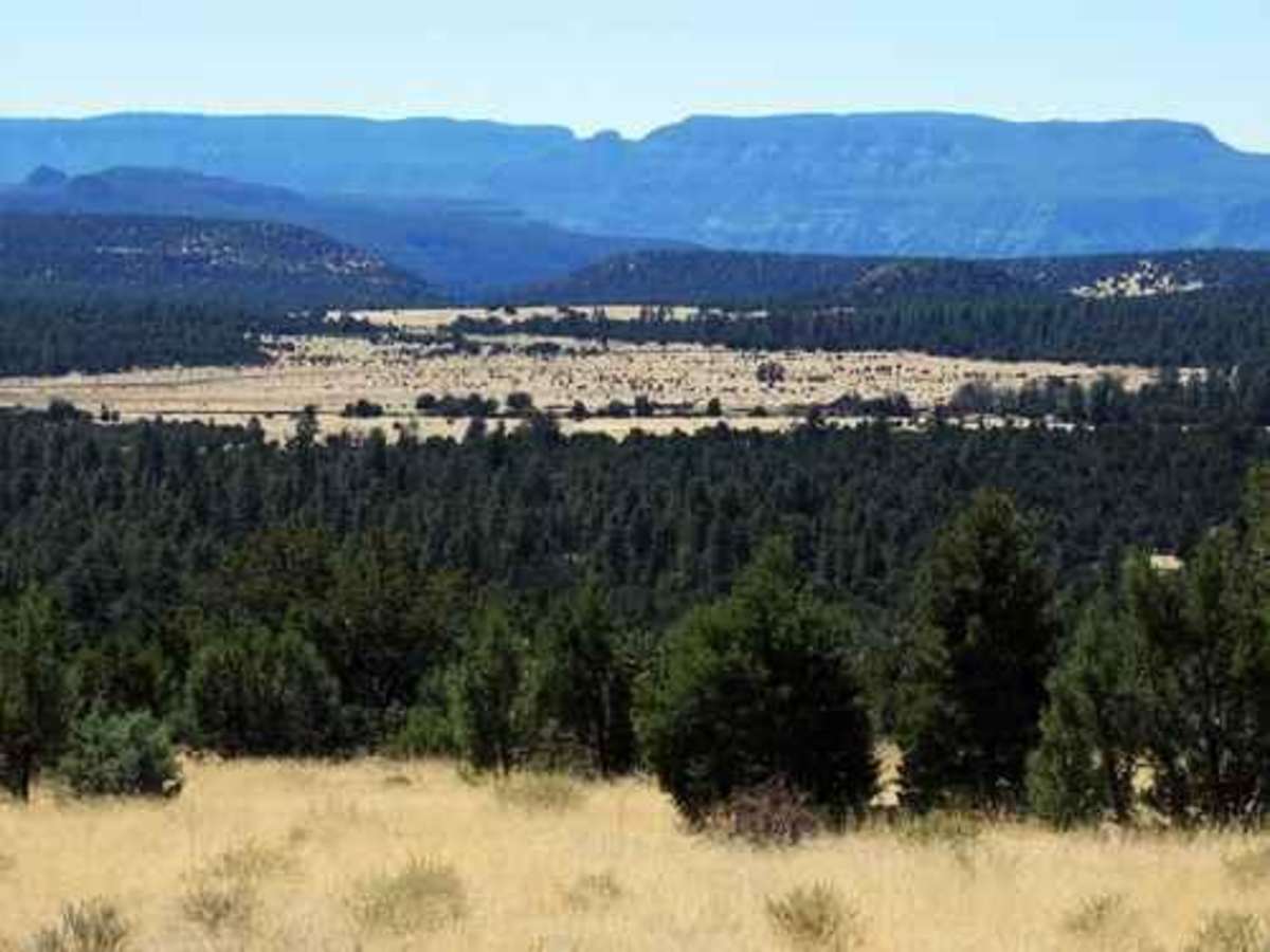 Lone Pine Divide photo 4