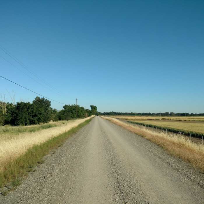 Near Putah Creek North Levee Trail