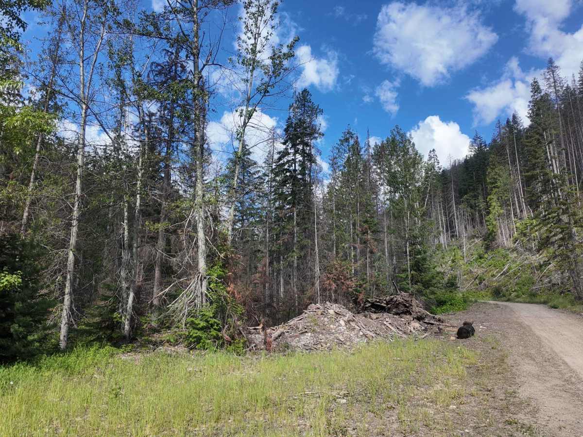 Trout Creek of the Selkirk photo 4