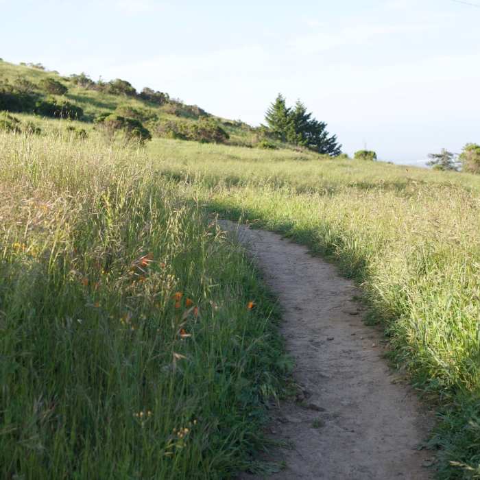 Near Lost Trail