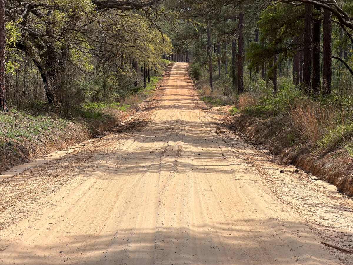 Eadie Cotton Road photo 4