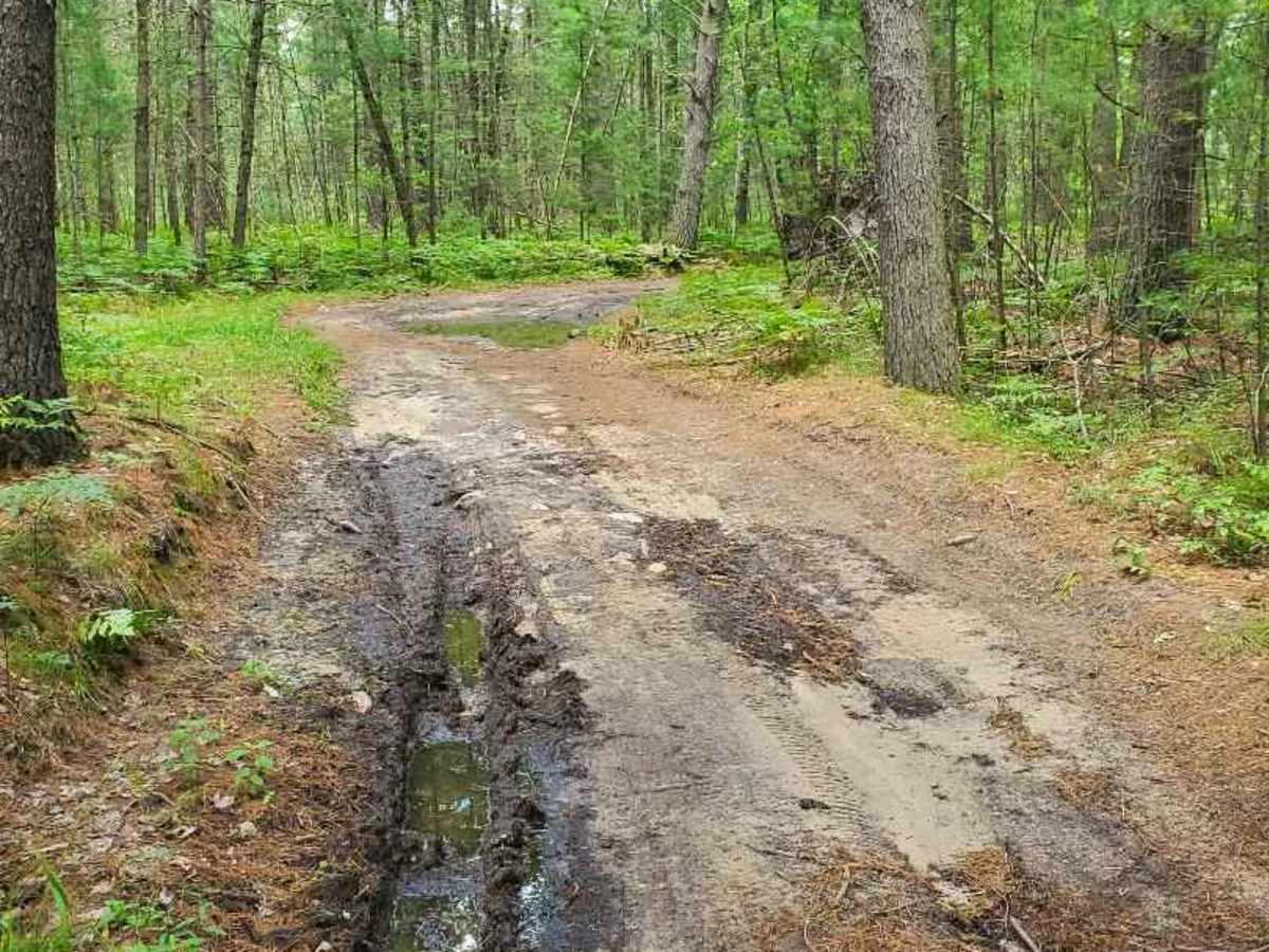 North Section 20 Road photo 3