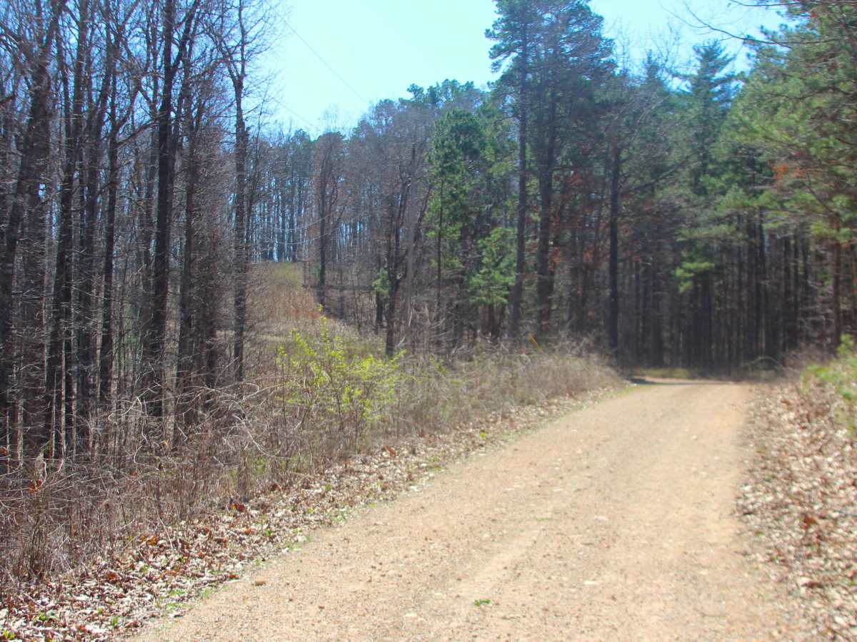 Overlook - FS 122 photo 4