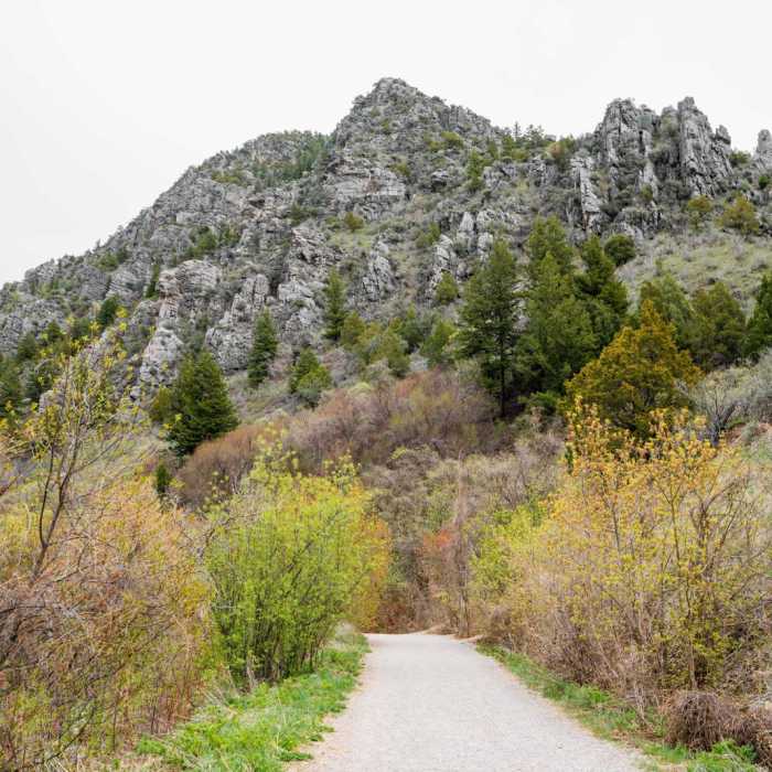 Near Logan River Trail