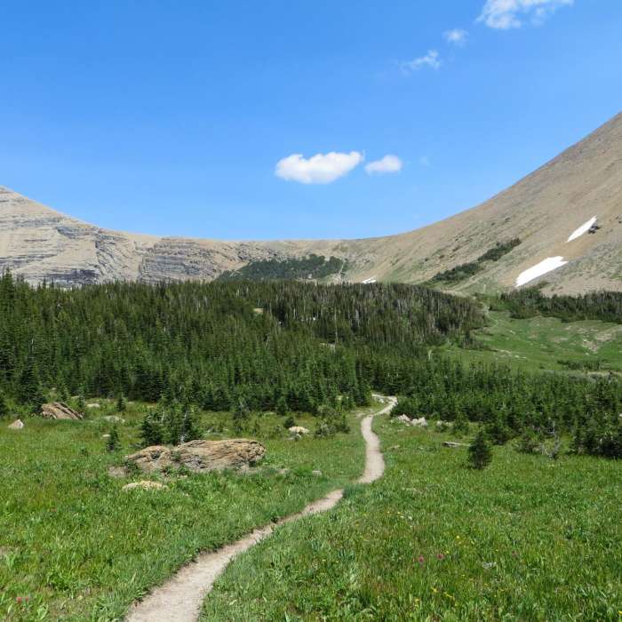 Near Piegan + Siyeh Pass