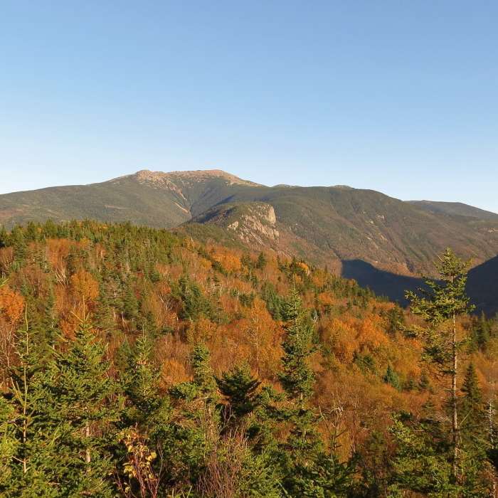 View from Bald Mountain, Franconia (494073) Near Bald Mountain/Artists Bluff Loop
