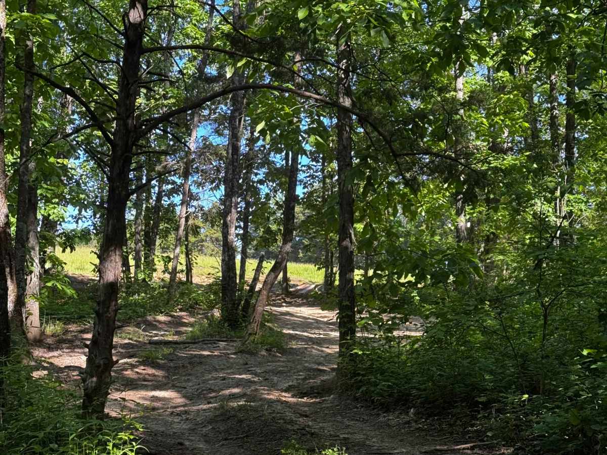 Bounty Hole Trail trail photo