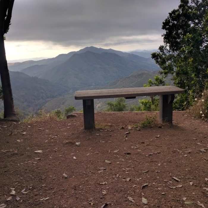 Near Cerro Alto