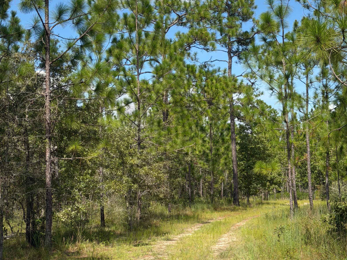 Blackwater River R68 photo 2